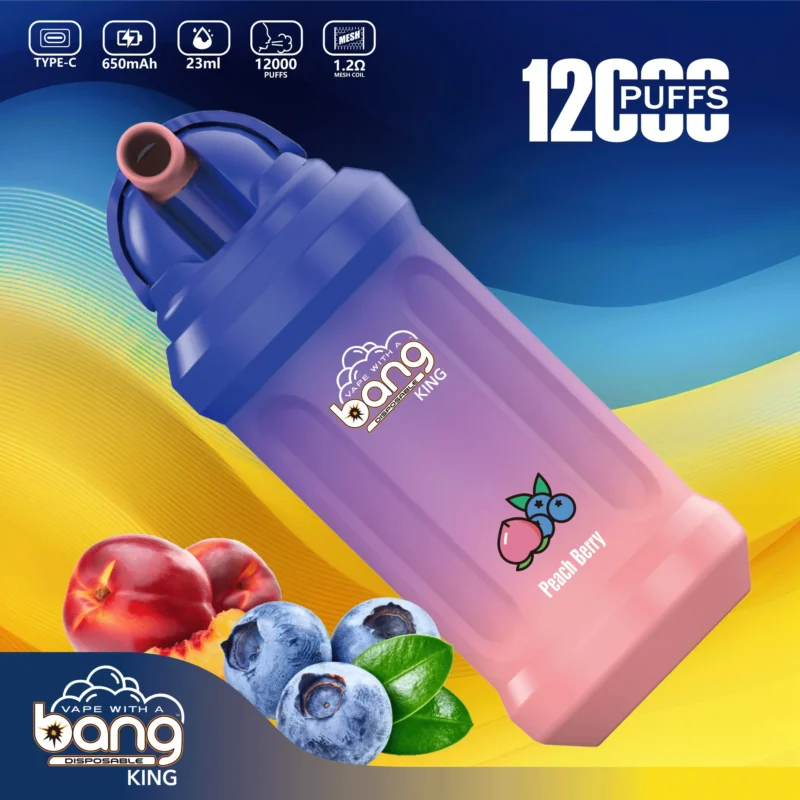 Bang King 12000 Puffs Disposable Vape