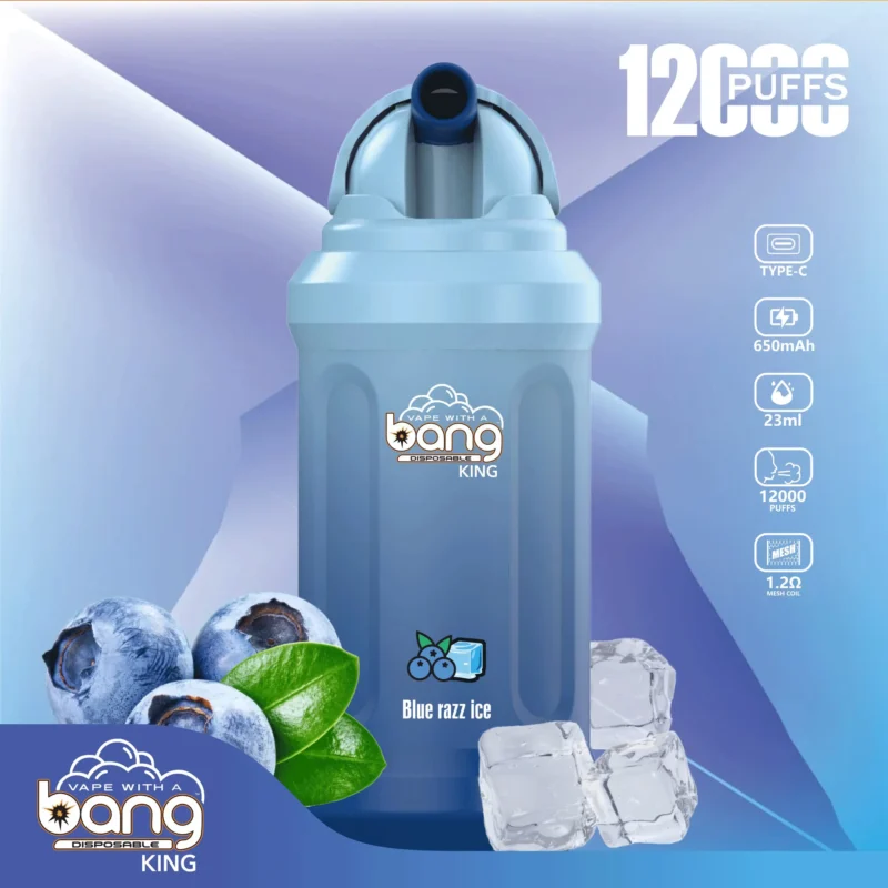 Bang King 12000 Puffs Disposable Vape