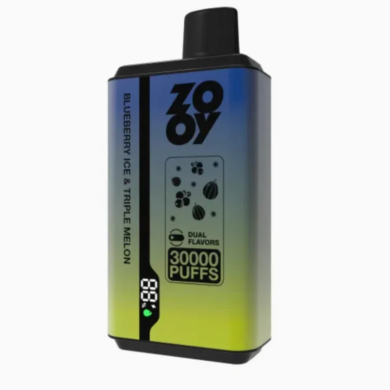 ZOOY VAPE Twins 30000 Puffs Disposable Vape