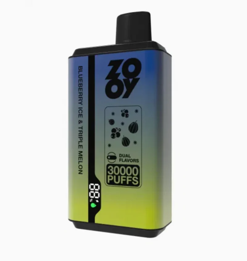 ZOOY VAPE Twins 30000 Puffs Disposable Vape