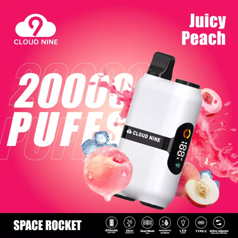 CLOUD NINE D33 20000 Puffs Disposable Vape