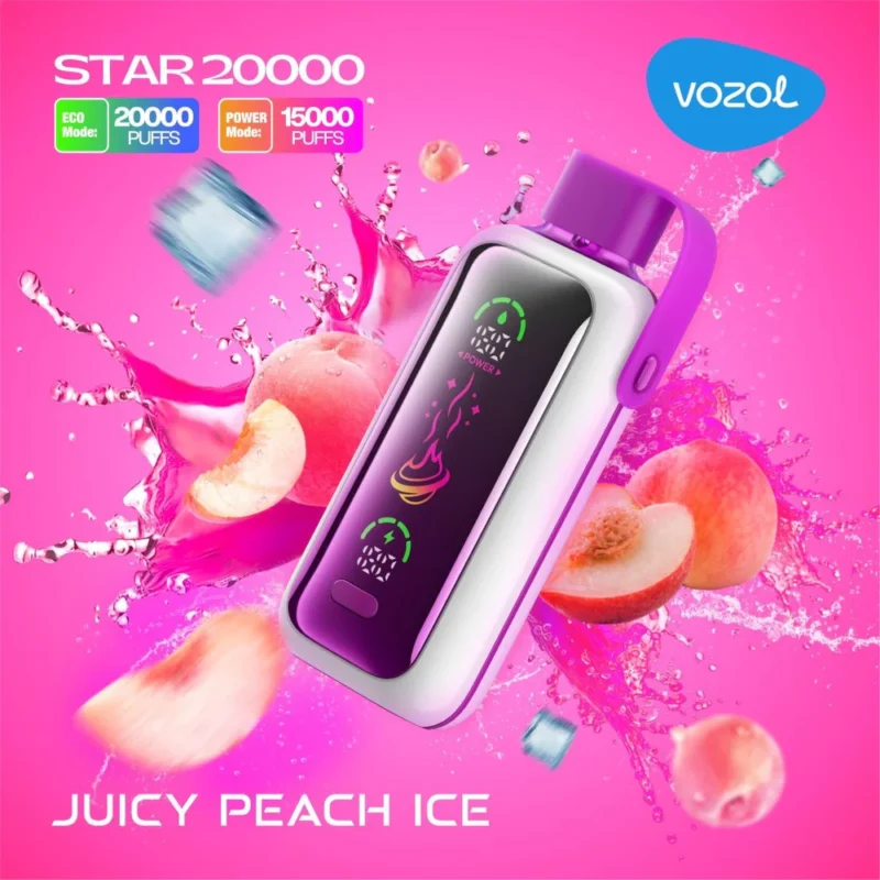 VOZOL Star 20000 Puffs Disposable Vape