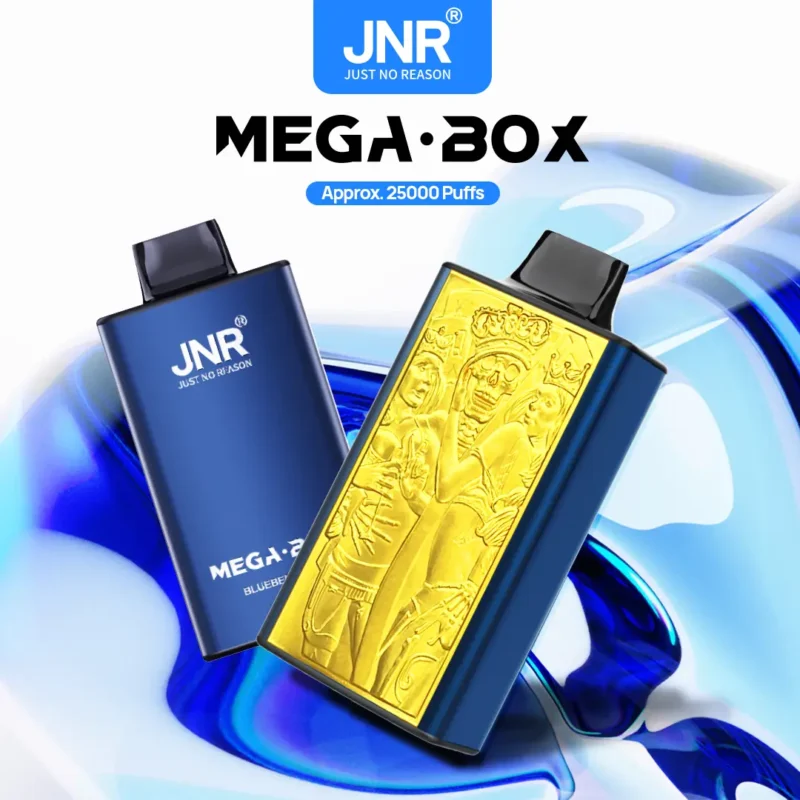 JNR Mega Box 25000 puffs Vape